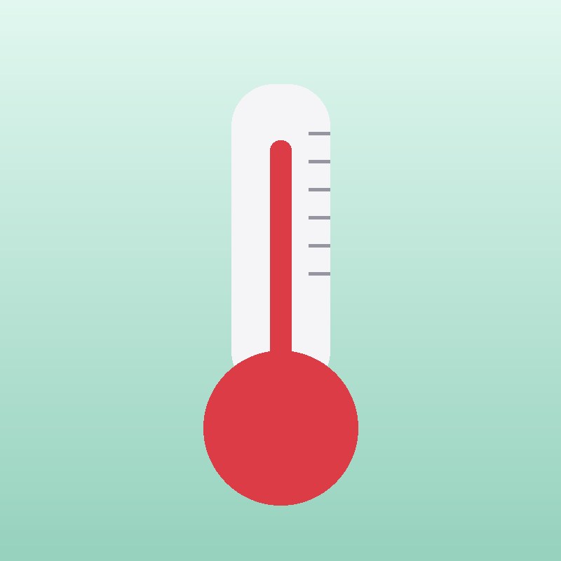 Digital Thermometer